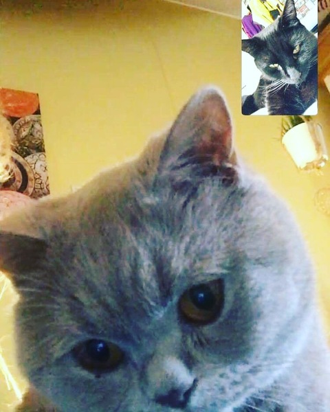 What's your DCat up to today? (Thread 7!)