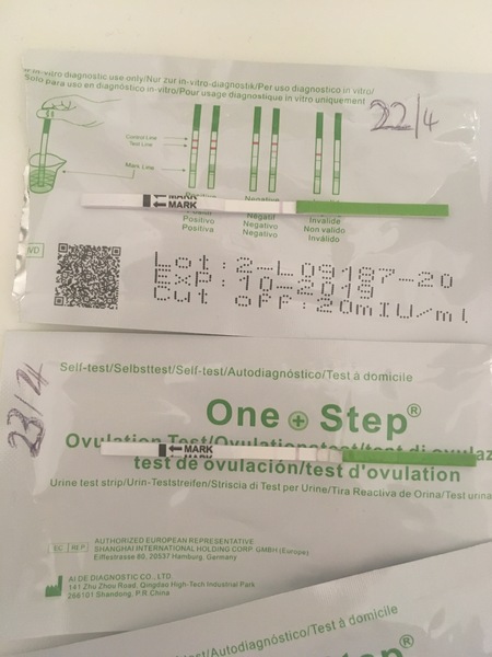 OPK always negative advise please