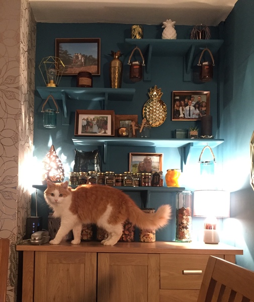 What small decorating decision are you really pleased you made?