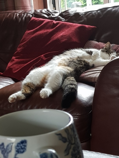 To be doing absolutely nothing