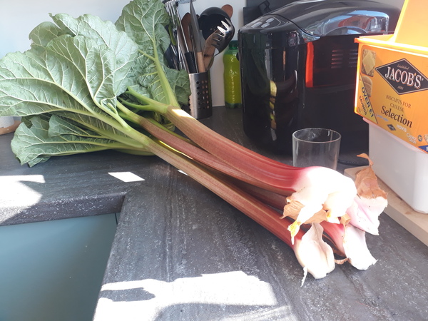 29th March "Grow your own" newcomers welcome here