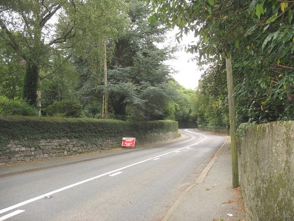 To think you don’t drive down the middle of the road