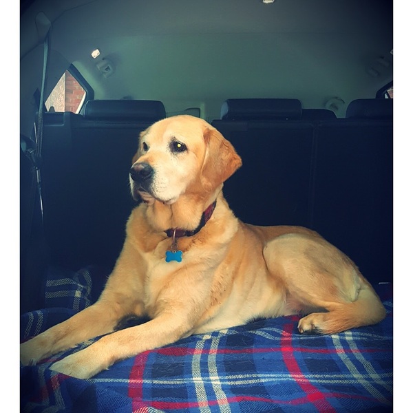 Any Witches Here? Part 8.