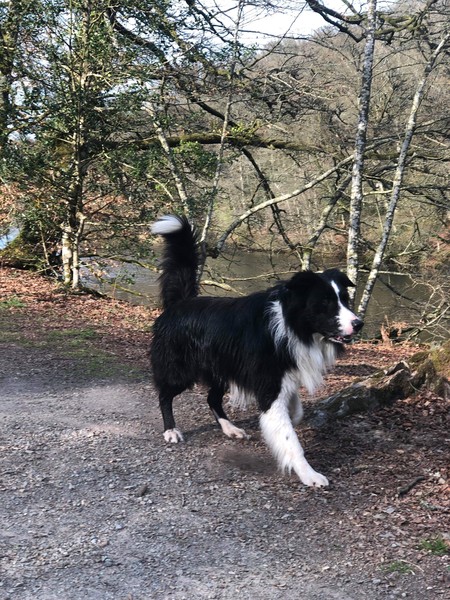 Roses are red, we like Becks Blue, Tryers to be Dryers push on through. 2019 will be our Valentine.