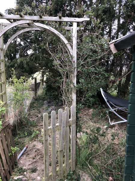 Inspiration for secret garden...
