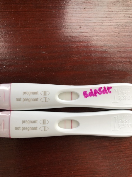 BFP after IVF/ ICSI