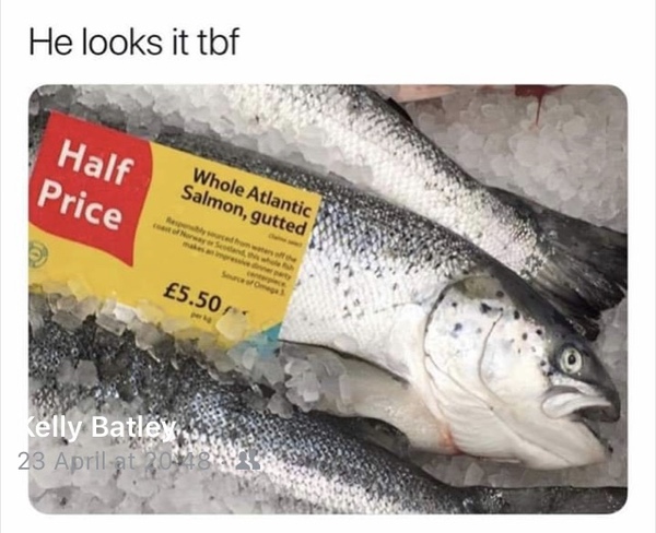 Please share your funny memes or pictures.