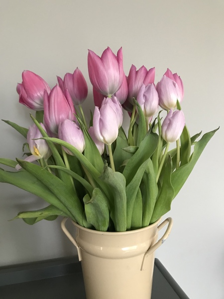 Mundane thread about cut flowers