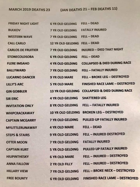 Grand National