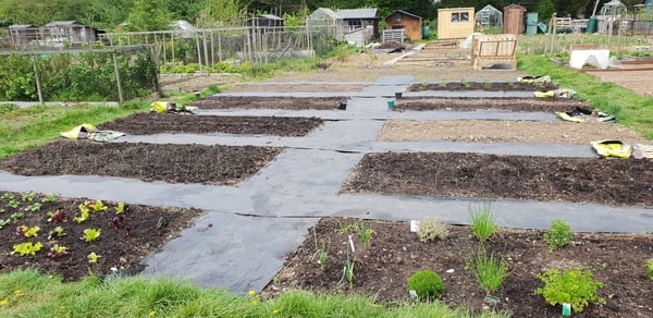 Allotment?Veg Patch Thread 13! Are we weathering the weather?