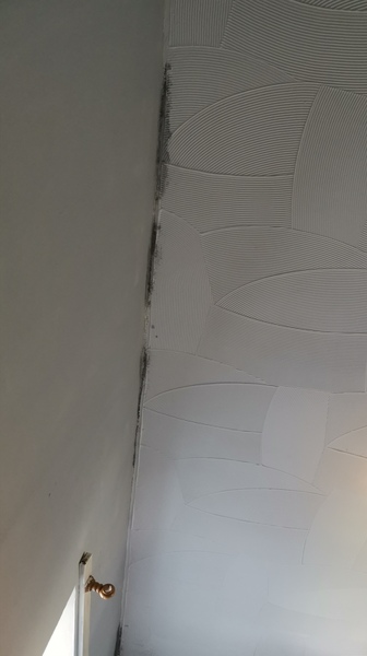Is this mould my fault?