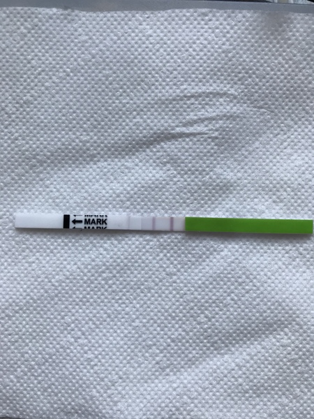 Eyes of those who OPK please!