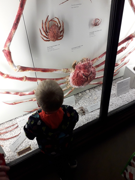 Places to go/things to do with a toddler in the Beds/Herts/Bucks area