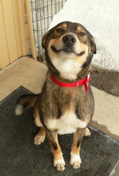 AIBU to post a happy picture
