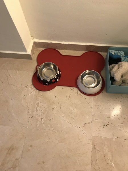 Messy drinker and slippery floors