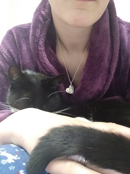 What's your DCat up to today? (Thread 7!)