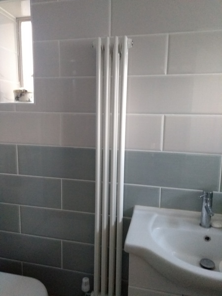 AIBU to dislike this in a new bathroom?
