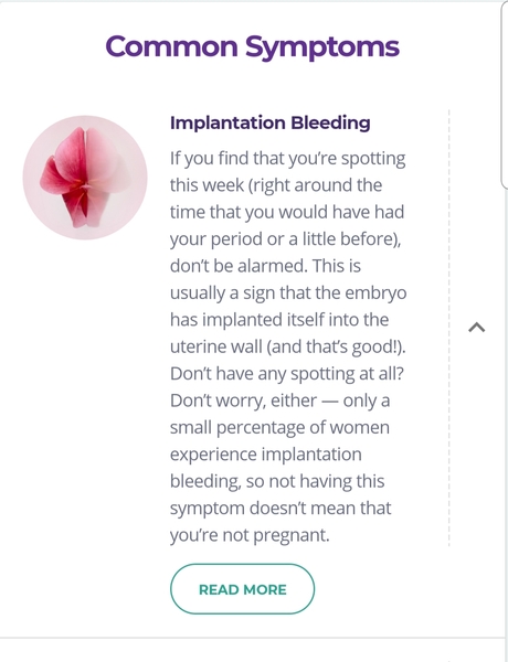 BFP - Due Jan 2020