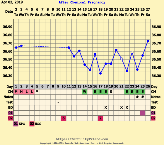 First Pregnancy Missed Miscarriage