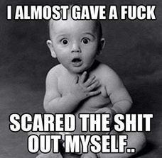 Please share your funny memes or pictures.