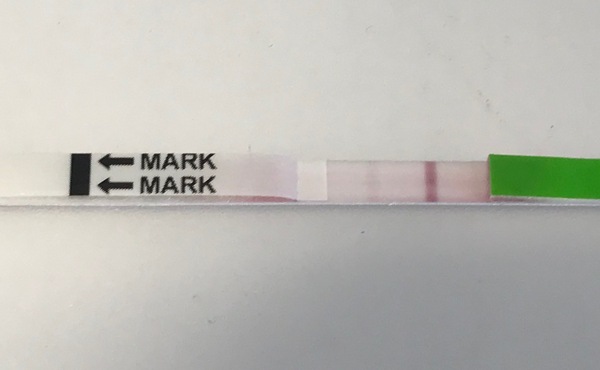 ClearBlue Advanced OPK