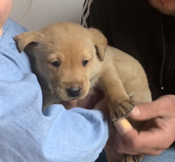 Opinions on visiting a litter ...