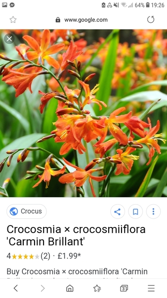 Help with identification please!