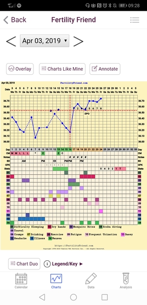 The July 19ers - The rollercoaster continues, scream if you wanna go faster