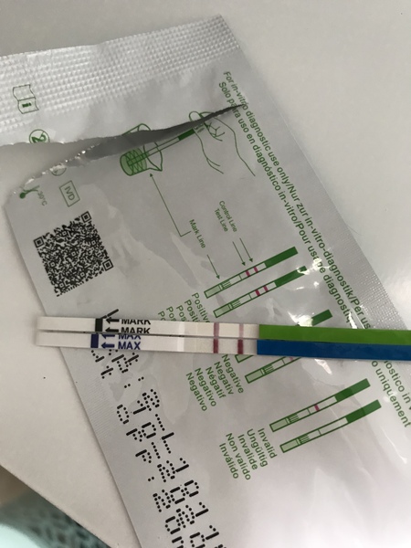 Opk as pregnancy test