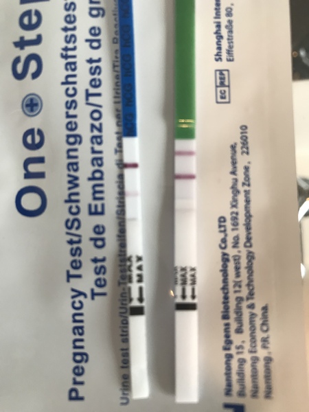 First Pregnancy Missed Miscarriage