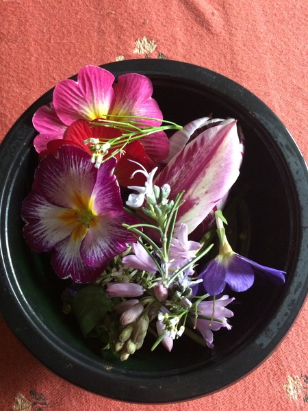 Any Witches Here? Part 7.