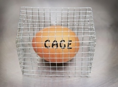 To have scrambled eggs in a cage that aren't yellow rubber?