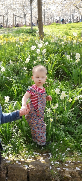 To clap my hands and skip about in a elephantine manner?