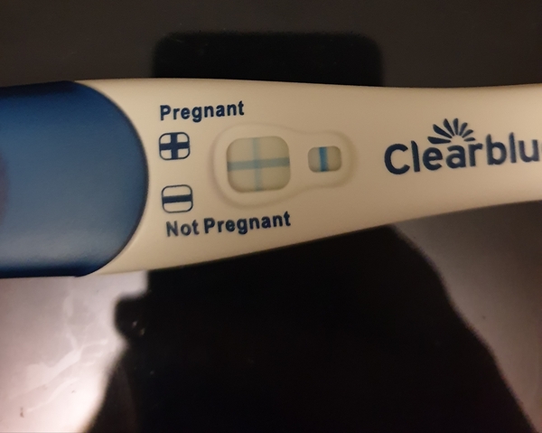 Pregnant or not? Panicking.
