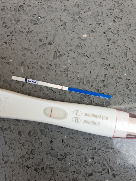 Line at 10dpo