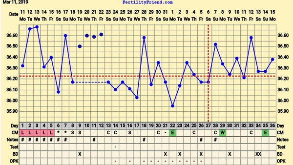 BBT experts... please.