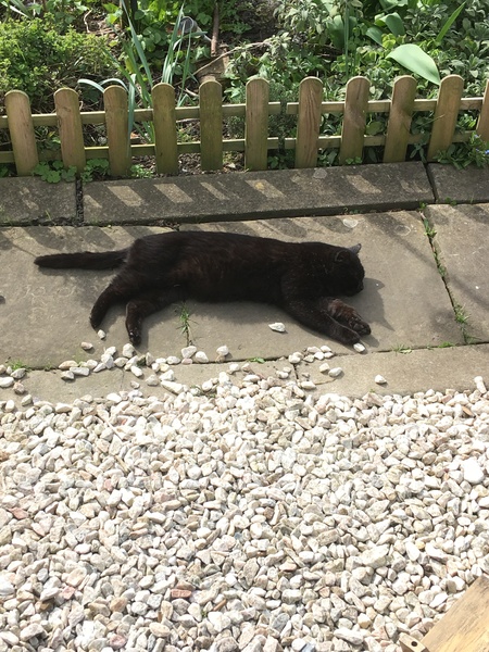 Any Witches Here? Part 7.