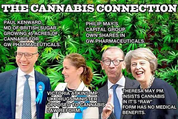 Confused about Weed/Cannabis