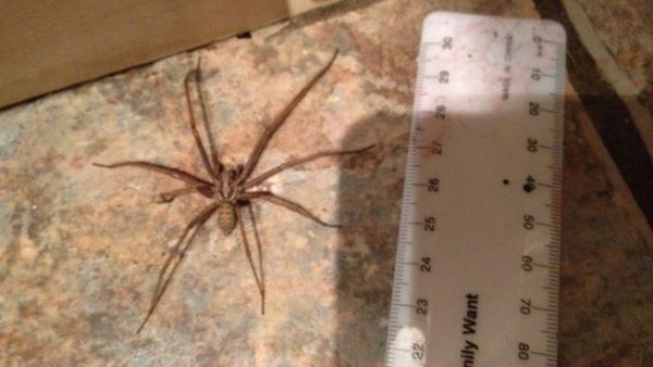 To ask what the hell you think this is?