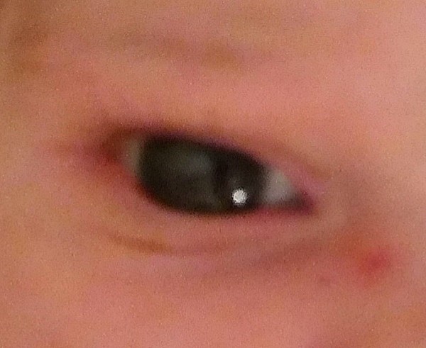 Are all babies born with blue or brown eyes?