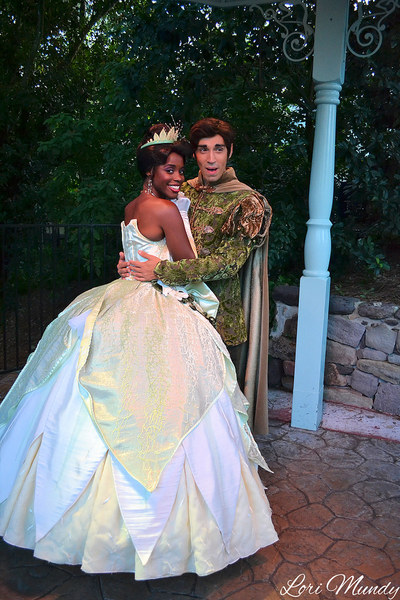 Does anyone know what the back of Disney;s Princess Tiana's dress looks like?