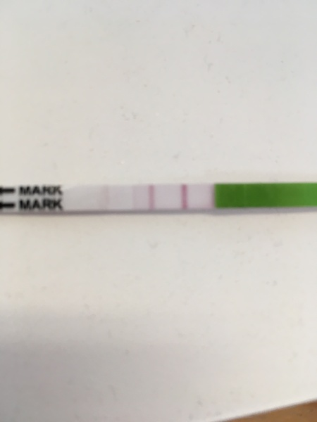 Ovulation test - positive?