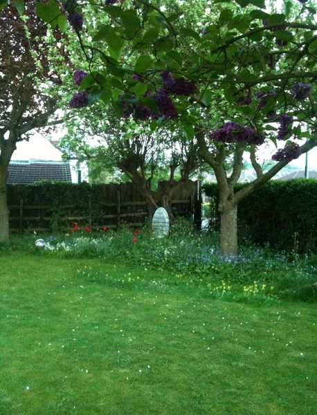 Show me your garden!!!