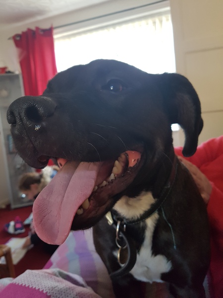AIBU to post a happy picture