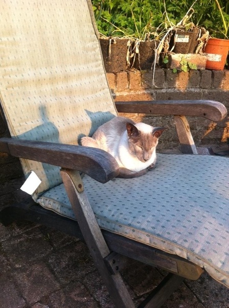 Westminstenders: 1001 Ways to wait for EUCO - Sprouts, Nits and Brexit