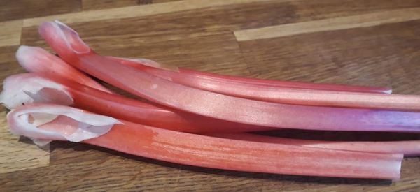 Allotment?Veg Patch Thread 13! Are we weathering the weather?