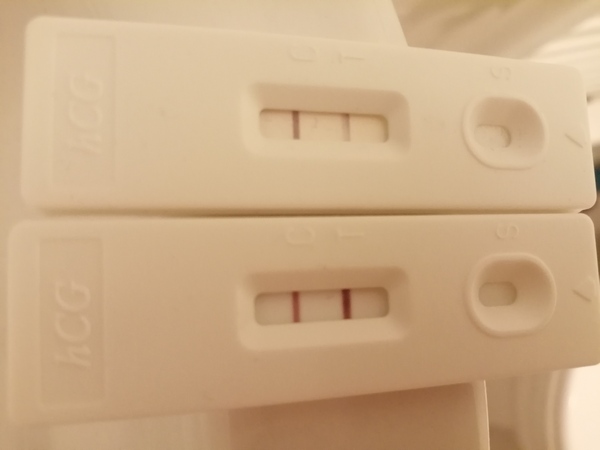 Do you have pictures of your positive pregnancy tests?