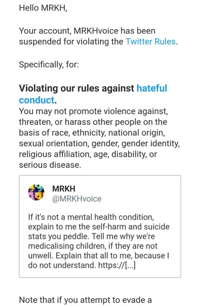 Twitter bans