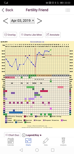The July 19ers - The rollercoaster continues, scream if you wanna go faster
