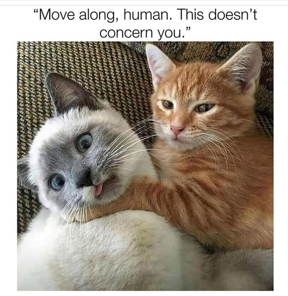 Please share your funny memes or pictures.